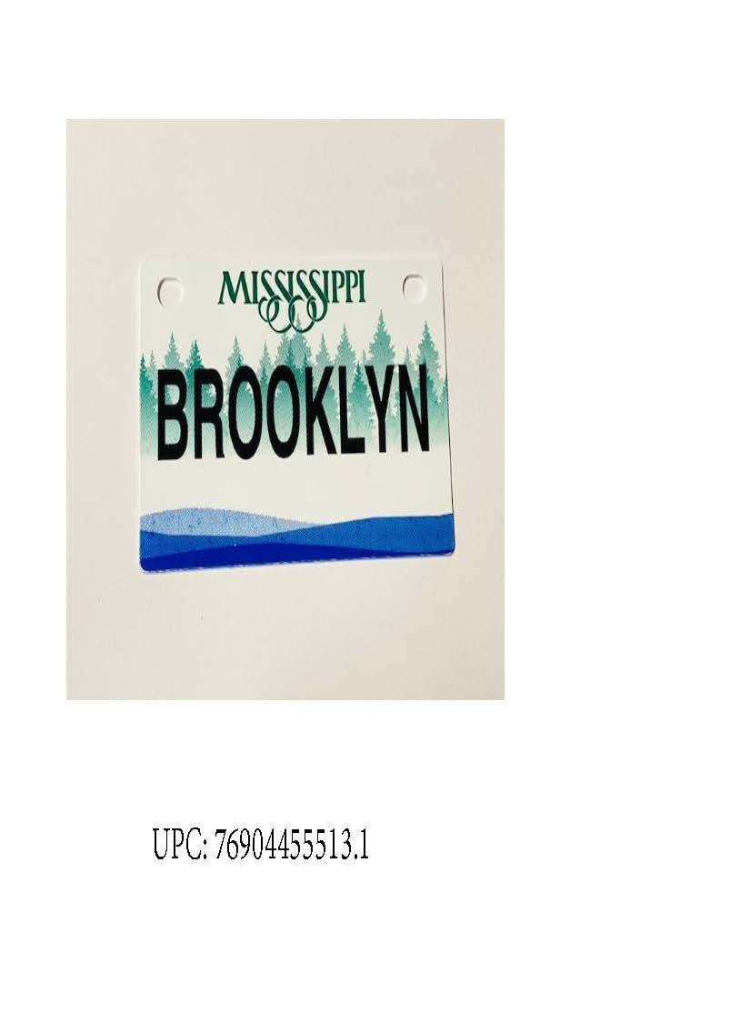Brooklyn Mini Bike Plate Add On Accessory