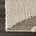 thumbnail image 1 of nuLOOM Krista Contemporary Swirls Shag Indoor Area Rug Beige/Brown, 6' Round, 1 of 5