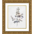 thumbnail image 1 of Brooks, Donna 15x18 Gold Ornate Wood Framed with Double Matting Museum Art Print Titled - Eucalyptus I, 1 of 4