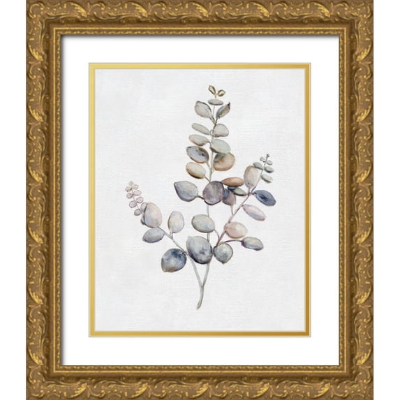 Brooks, Donna 15x18 Gold Ornate Wood Framed with Double Matting Museum Art Print Titled - Eucalyptus I