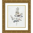 thumbnail image 1 of Brooks, Donna 26x32 Gold Ornate Wood Framed with Double Matting Museum Art Print Titled - Eucalyptus I, 1 of 4