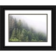 thumbnail image 1 of Brooks, Kari 18x14 Black Ornate Wood Framed with Double Matting Museum Art Print Titled - Alaska Green Trees I, 1 of 4