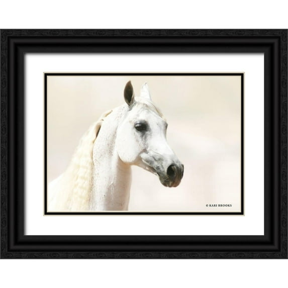 Brooks, Kari 18x14 Black Ornate Wood Framed with Double Matting Museum Art Print Titled - Aloof
