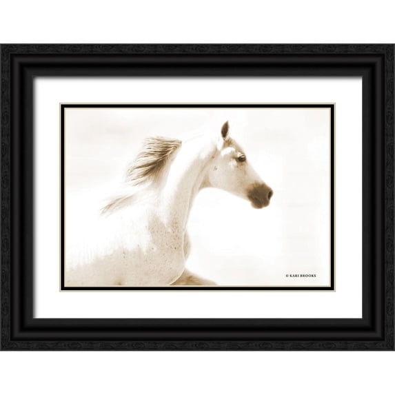 Brooks, Kari 24x17 Black Ornate Wood Framed with Double Matting Museum Art Print Titled - Dash I