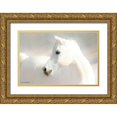 thumbnail image 1 of Brooks, Kari 24x17 Gold Ornate Wood Framed with Double Matting Museum Art Print Titled - White Arab II, 1 of 4