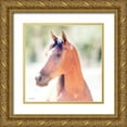 thumbnail image 1 of Brooks, Kari 26x26 Gold Ornate Wood Framed with Double Matting Museum Art Print Titled - The Berry, 1 of 4