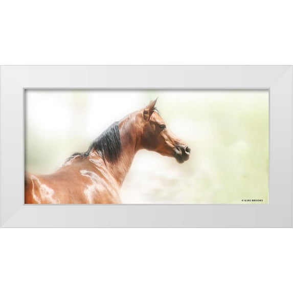 Brooks, Kari 32x17 White Modern Wood Framed Museum Art Print Titled - Rose III