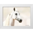 thumbnail image 1 of Brooks, Kari 32x24 White Modern Wood Framed Museum Art Print Titled - Aloof, 1 of 4