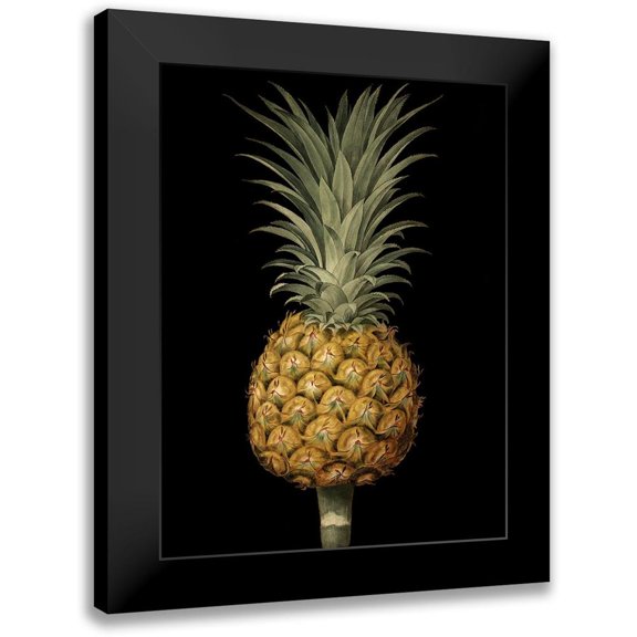 Brookshaw, George 12x14 Black Modern Framed Museum Art Print Titled - Custom Brookshaw Exotic Pineapple II (CR)