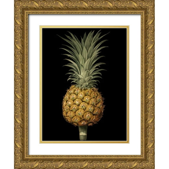 Brookshaw, George 15x18 Gold Ornate Wood Framed with Double Matting Museum Art Print Titled - Brookshaw Exotic Pineapple II