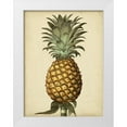 thumbnail image 1 of Brookshaw, George 19x24 White Modern Wood Framed Museum Art Print Titled - Brookshaw Antique Pineapple I, 1 of 4