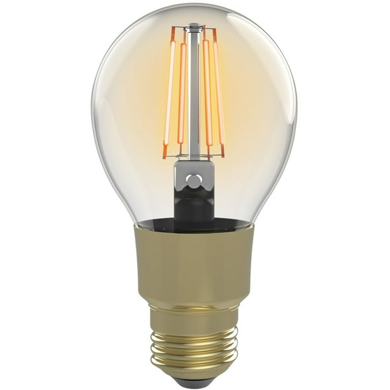 Brookstone BKSBEDI Edison Bulb