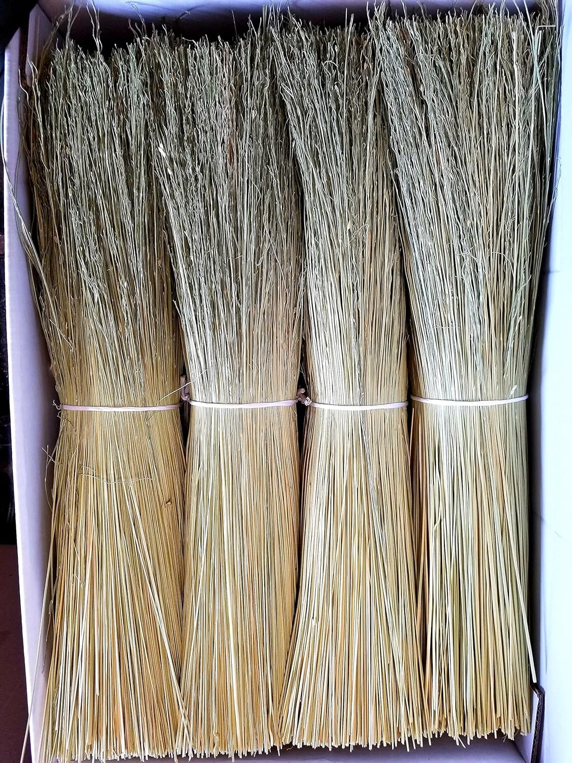 Broom Corn for Crafting and Broom Making 10 Pound Bundle 20" Length