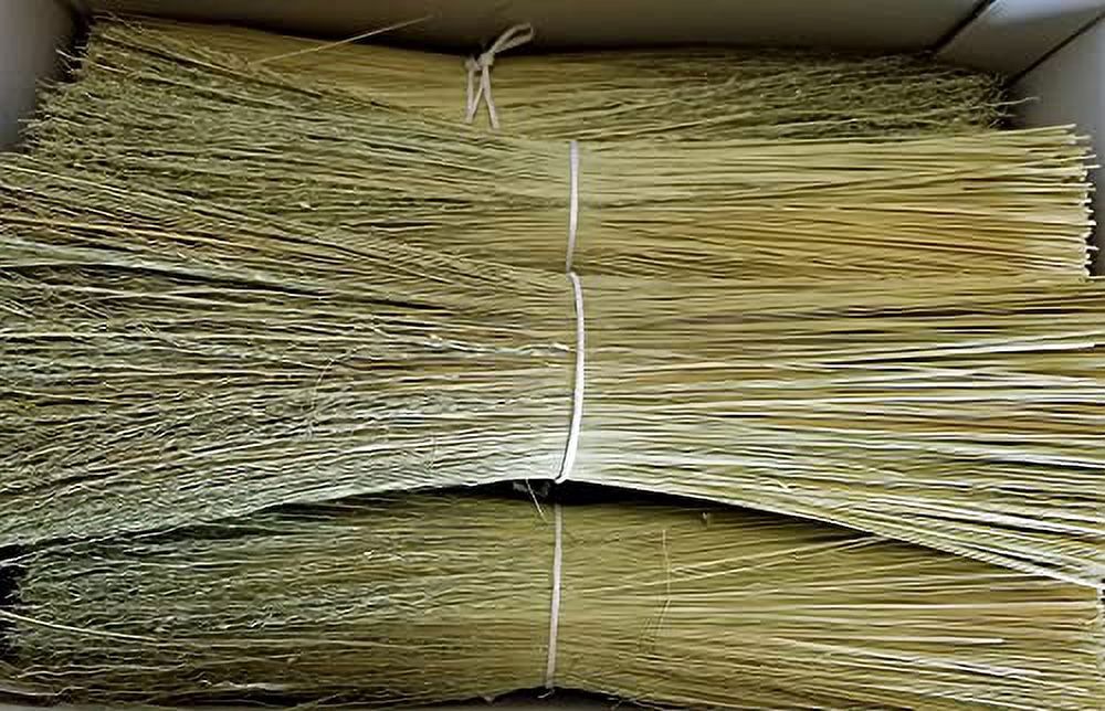 Broom Corn for Crafting and Broom Making 5 Pound 20" Length (Broom Corn