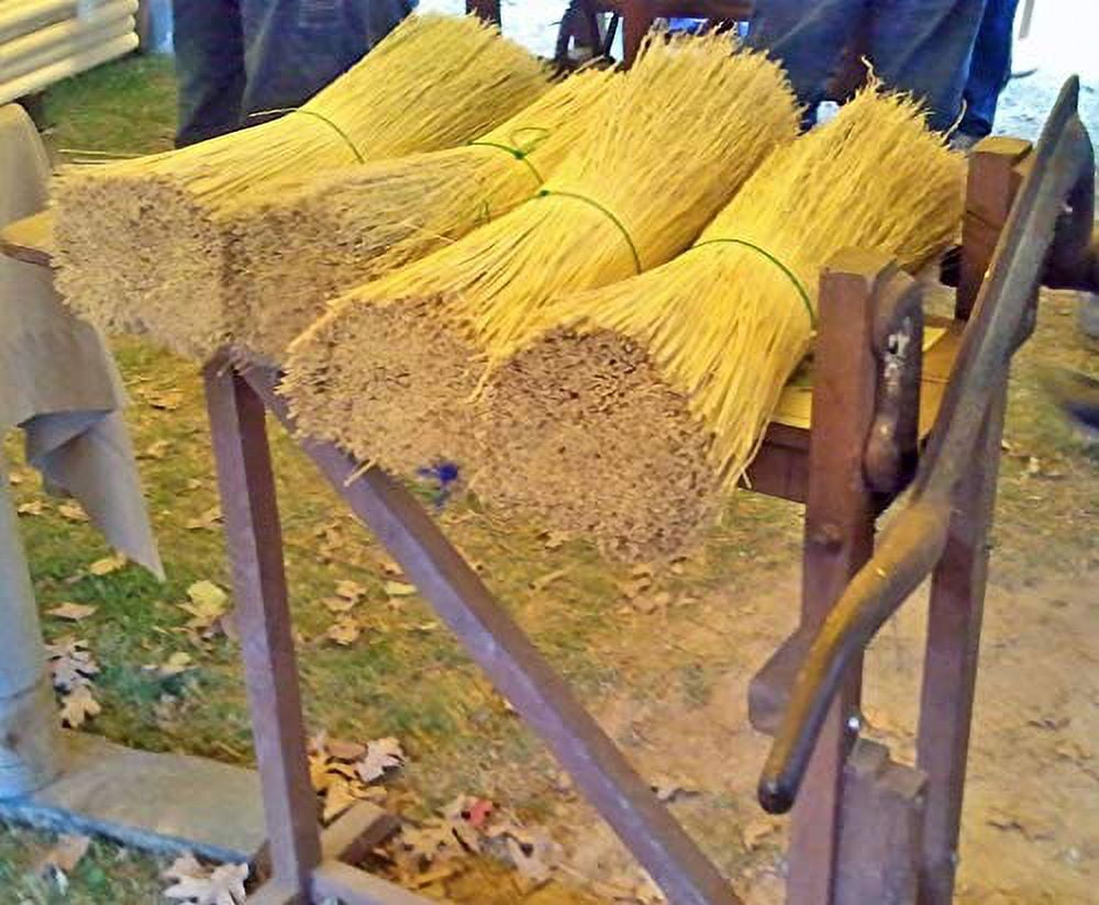 Broom Corn for Crafting and Broom Making 5 Pound Bundle 20" Length