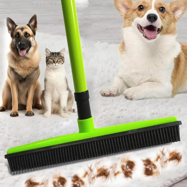 BroomWiz Pet Hair Removal, 2025 Best BroomWiz Pet Broom, BroomWiz