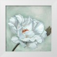 thumbnail image 1 of Broome, Marianne 12x12 White Modern Wood Framed Museum Art Print Titled - Precious Peony I, 1 of 4