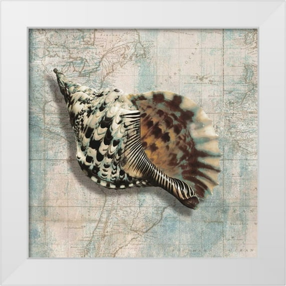 Broome, Ted 15x15 White Modern Wood Framed Museum Art Print Titled - Sea Shell