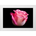thumbnail image 1 of Brosius, Volker 14x11 White Modern Wood Framed Museum Art Print Titled - Rose I, 1 of 4