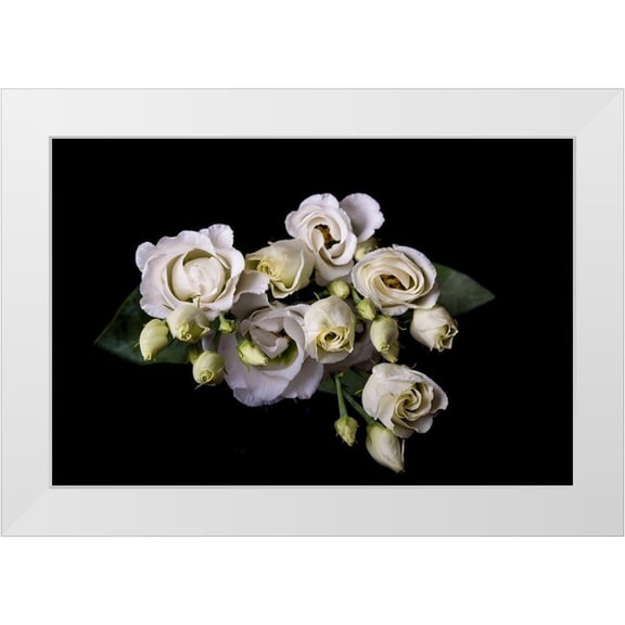Brosius, Volker 14x11 White Modern Wood Framed Museum Art Print Titled - Rosen in weiss