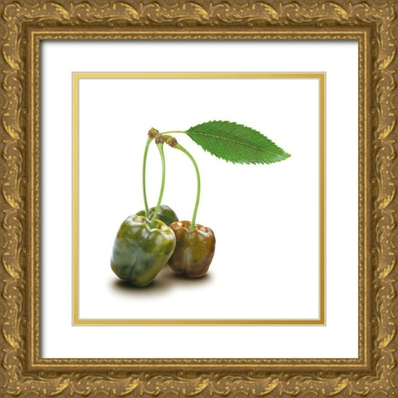 Broszius, Michael 20x20 Gold Ornate Wood Framed with Double Matting Museum Art Print Titled - Papkische