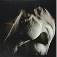 thumbnail image 1 of Brother Dege - How to Kill a Horse - Music & Performance - Vinyl, 1 of 1
