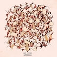 thumbnail image 1 of Brotherocean, 1 of 1