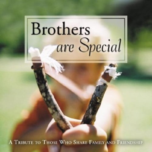 Pre-Owned Brothers Are Special (Hardcover) 0517224283 9780517224281