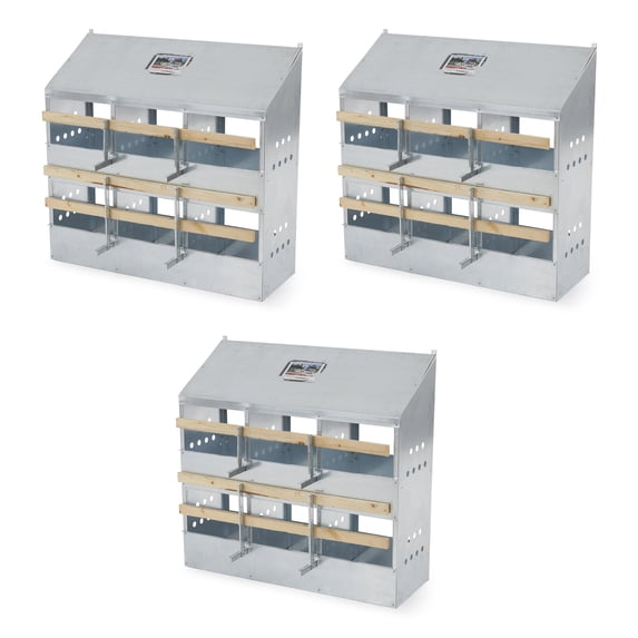 Brower Galvanized Steel 6 Hole 30 Bird Nest Chicken Brooding Box (3 Pack)