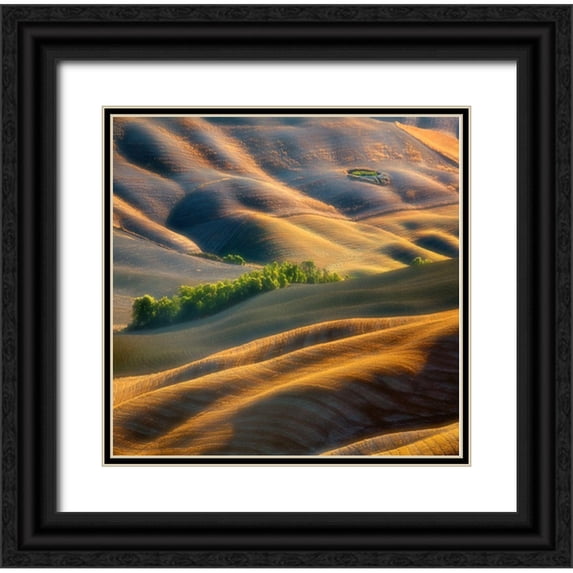 Browko, Krzysztof 15x15 Black Ornate Wood Framed with Double Matting Museum Art Print Titled - Fields