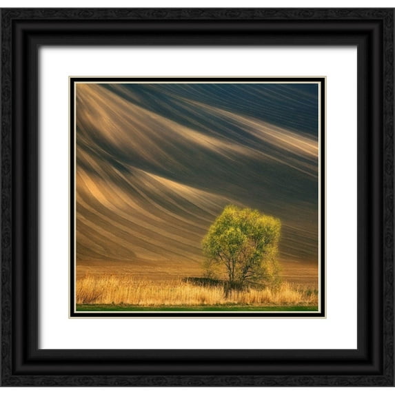 Browko, Krzysztof 16x15 Black Ornate Wood Framed with Double Matting Museum Art Print Titled - Tree...