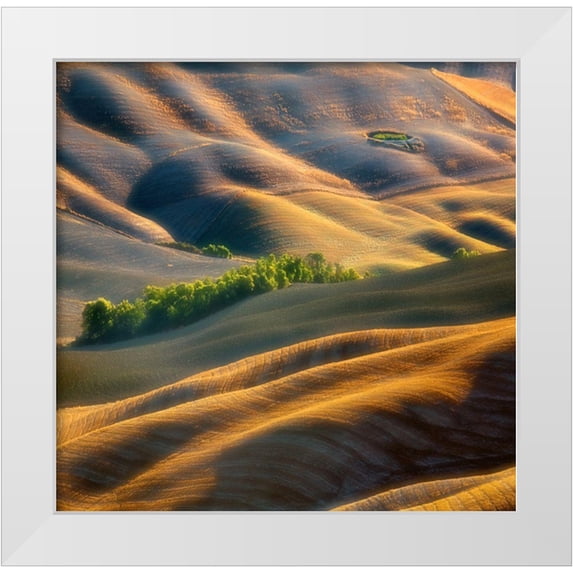 Browko, Krzysztof 27x26 White Modern Wood Framed Museum Art Print Titled - Fields