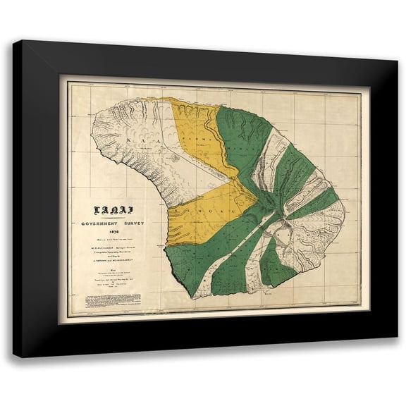 Brown 14x12 Black Modern Framed Museum Art Print Titled - Lanai County Hawaii - Brown 1878