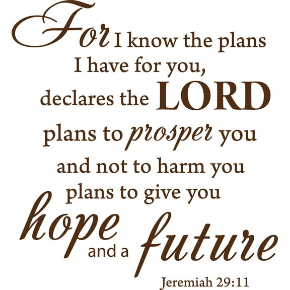 Brown 17" x 16" Decaltor for I Know The Plans I Have for You declares The Lord Jeremiah 29:11 Quotes Sayings Words Art Decor Lettering Vinyl Wall Art Inspirational Uplifting Bible
