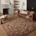 thumbnail image 1 of Pentantan 5ft x 8ft Shag Area Rugs, Fluffy Rug for Living Room Bedroom, Soft Plush Pile Indoor Carpet, Brown, 1 of 7