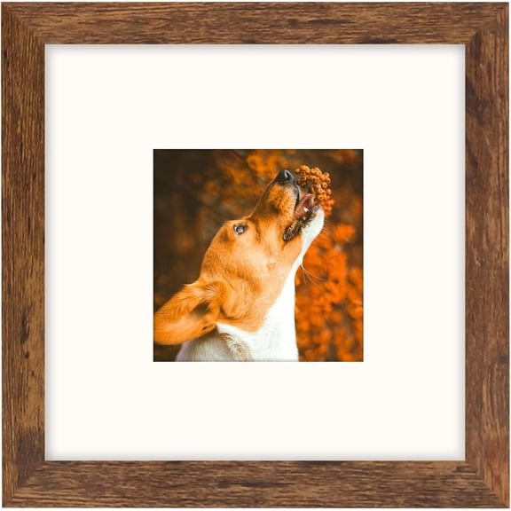Brown 8x8 Frame with Mat for 4x4 Display, Desk Wall Square Photo Frame for Horizontal and Vertical, 1 Pack