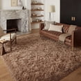 thumbnail image 1 of Pentantan 9ft x 12ft Shag Area Rugs, Fluffy Rug for Living Room Bedroom, Soft Plush Pile Indoor Carpet, Brown, 1 of 7