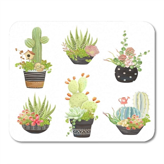 Brown Aloe Collection of Flower Pots Cacti and Succulents in Vintage Green Birdhouse Mousepad Mouse Pad Mouse Mat 9x10 inch