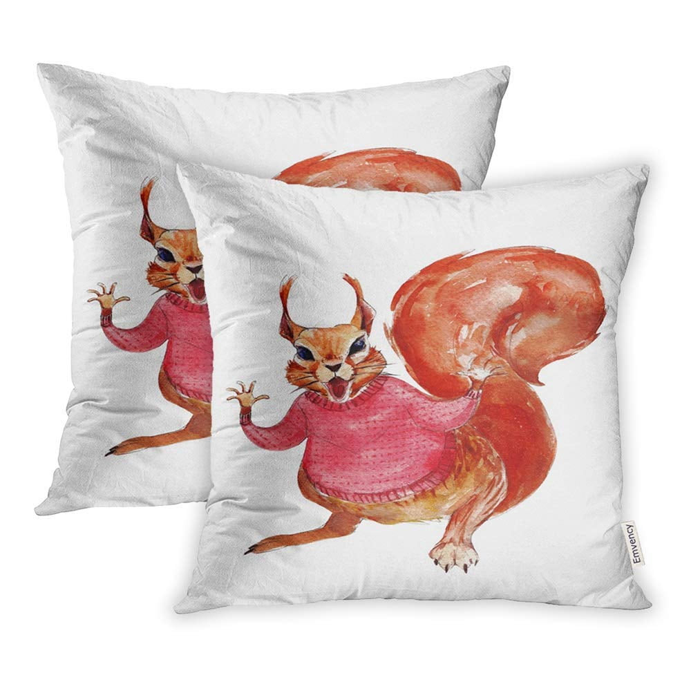 Brown Animal Squirrel in Red Sweater Watercolor Vintage Object on White