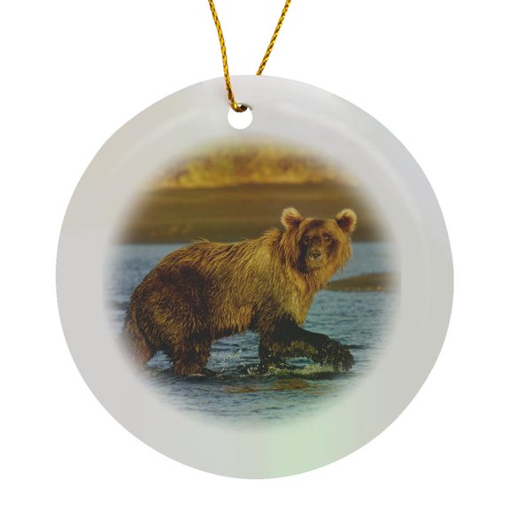 3drose, Brown Bear Fishing for Salmon, Silver Salmon Creek, Alaska, Circle Porcelain Ornament