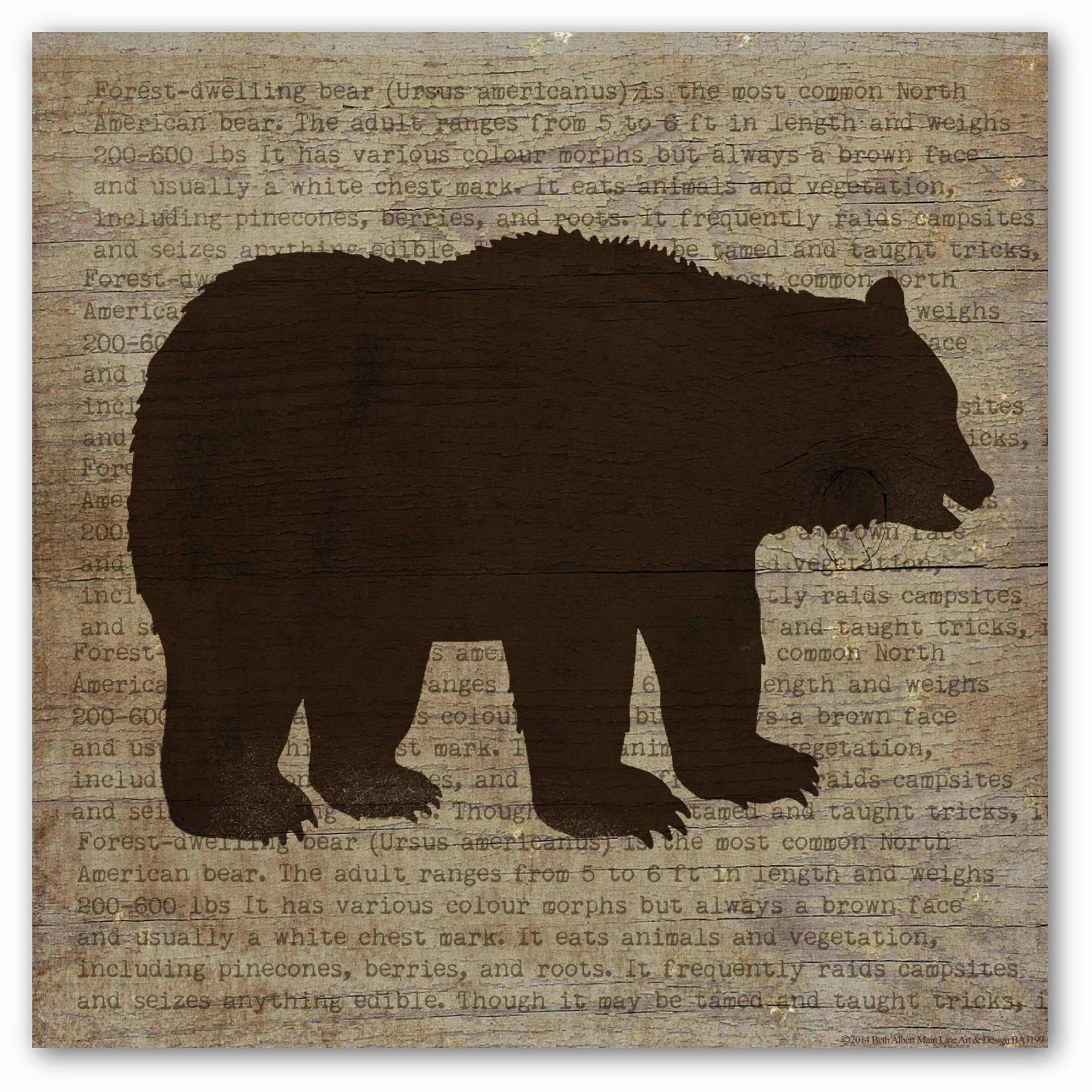 Brown Bear Gallery-Wrapped Canvas Wall Art, 16x16