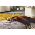 thumbnail image 1 of Brown Bear Resting on a Log Rugs, Modern Rug, Bear Rug, Animal Rugs, Round Rug, Personalized Rug, Office Rug, Soft Rug, Dining Room Rug, 5.2'x7.5' - 160x230 cm, 1 of 8