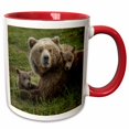 thumbnail image 1 of 3drose, Brown Bear Sow and Cubs, Katmai National Park, Alaska, Usa, 15oz Two-tone Red Mug, 1 of 6