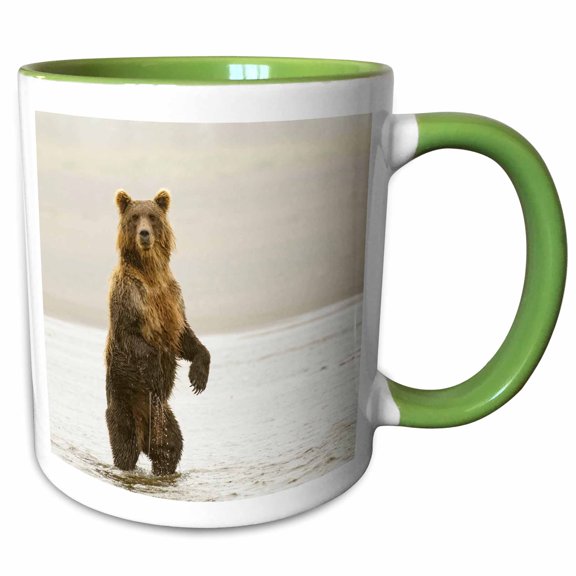 3drose, Brown Bear Standing Upright, Silver Salmon Creek, Alaska., 15oz Two-tone Green Mug