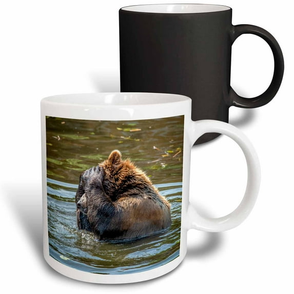 3drose, Brown Bear Thinks, Oops, 11oz Magic Transforming Mug