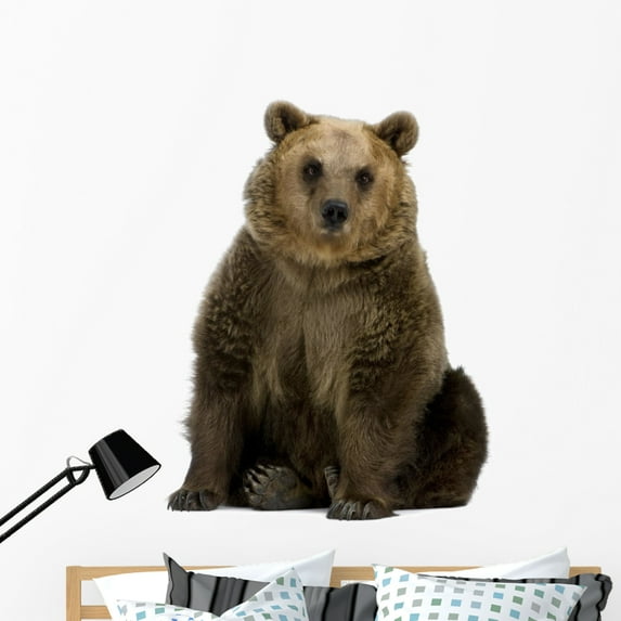 Brown Bear Wall Decal by Wallmonkeys Peel and Stick Graphic (48 in H x 46 in W) WM138673