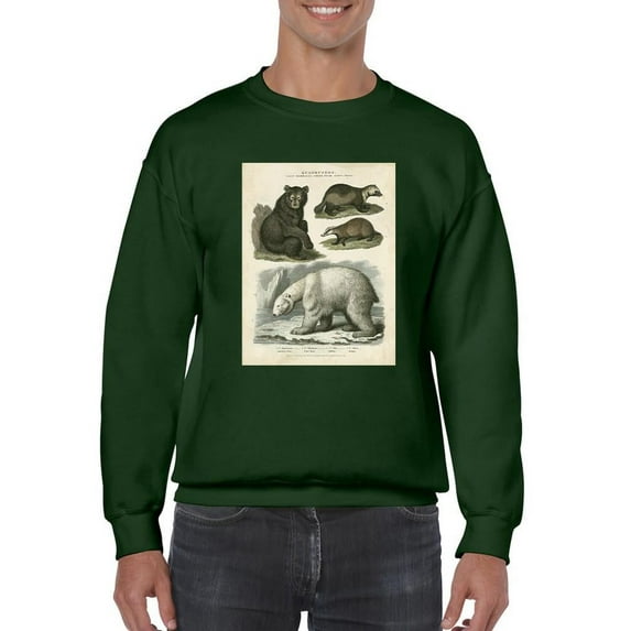 Brown Bearm. Polar Bear Sweatshirt Men -Sydenham Edwards Designs, Male Large
