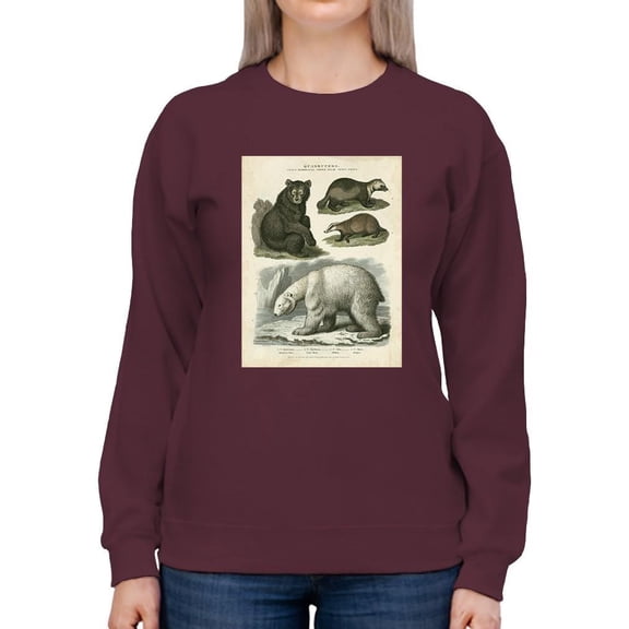 Brown Bearm. Polar Bear Sweatshirt Women -Sydenham Edwards Designs, Female Small