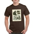 thumbnail image 1 of Brown Bearm. Polar Bear T-Shirt Men -Sydenham Edwards Designs, Male 5X-Large, 1 of 4