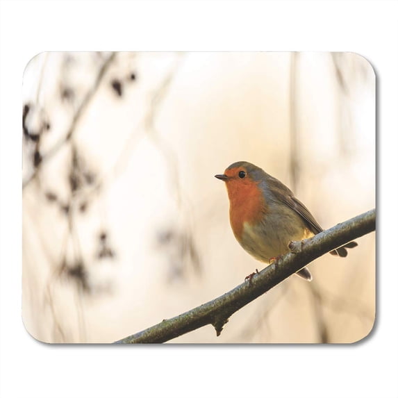 Brown Bird European Robin Erithacus Rubecula Singing in Sun Mousepad Mouse Pad Mouse Mat 9x10 inch